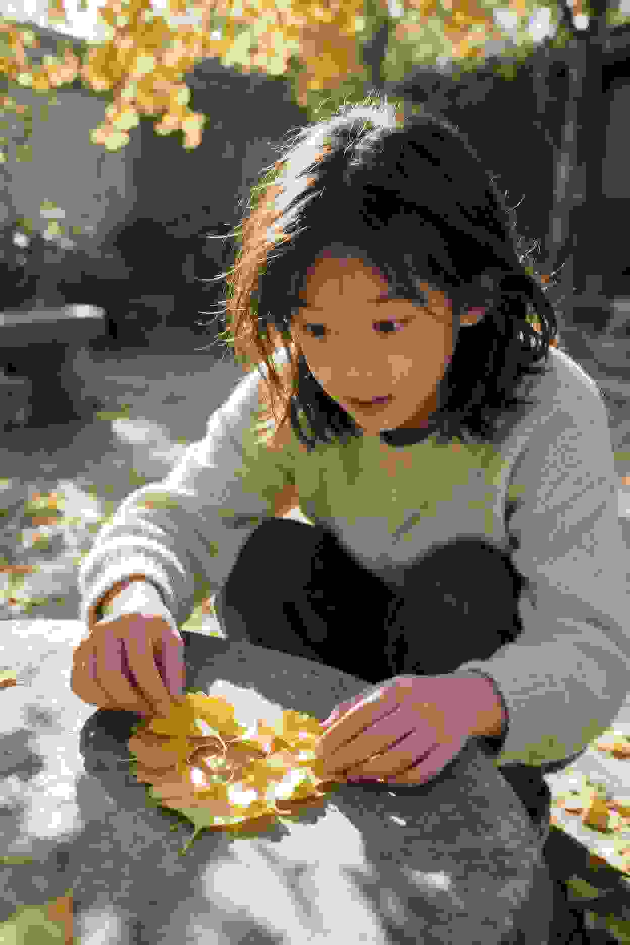 季节景观变化
